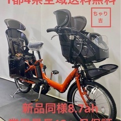 1都4県全域送料無料　業界最長1年保証　電動アシスト自転車　ブリ...