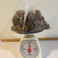 値下げ❤️キウイ1kg‼️品種は香緑です❣️ビタミンCが豊富‼️