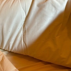 ニトリ　ボリューム敷布団+敷布団カバーの画像