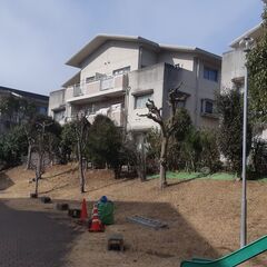 剪定・伐採承ります