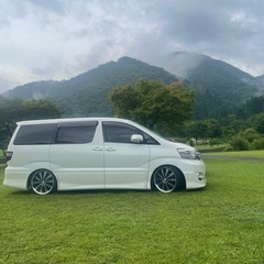 アルファードの画像