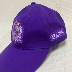 サンフレッチェ帽子の画像