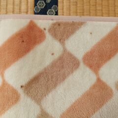 ホットカーペット１畳【動作確認済み】の画像