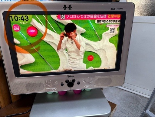 ミッキーマウス　テレビ