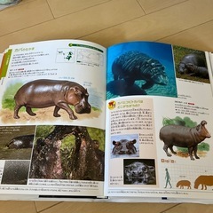 図鑑の画像
