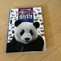 図鑑