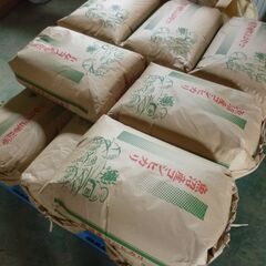 ④令和6年産　魚沼産コシヒカリ　【減農薬栽培】　玄米30Kg
