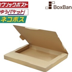 A4サイズ、ネコポス対応 厚さ最大3cm　ダンボール箱44枚