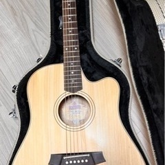 ✨20周年限定モデル ✨cole clark CCFL2EC-BMR-ANVSYの画像