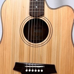 ✨20周年限定モデル ✨cole clark CCFL2EC-BMR-ANVSYの画像