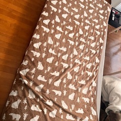 急募！茶色 クマ柄 布団カバー