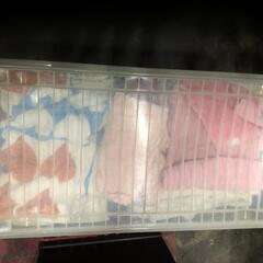 【松本市引取限定】使用済みタオル・バスタオル（洗濯済み）年末の大掃除に…の画像