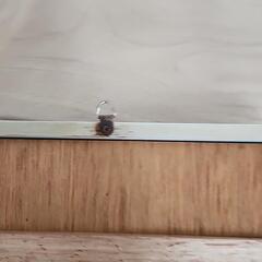 ピーターラビット　額入りポストカード　額縁の画像