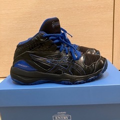 バスケット シューズ バッシュ アシックス　21.5cm ダンク...
