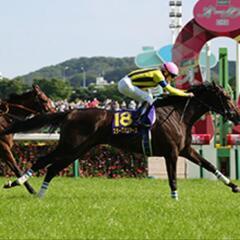 【新品】ぬいぐるみ（サラブレッド コレクション）お取引き予定の画像