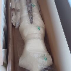 マネキン新品