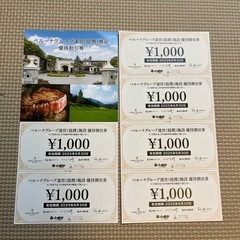 ベルーナグループ優待割引券6000円分