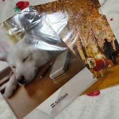 SoftBank お父さん犬の画像