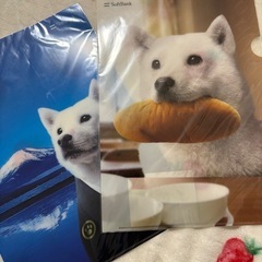 SoftBank お父さん犬の画像