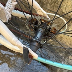Bianchi自転車の画像