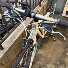 Bianchi自転車の画像