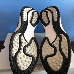 [新品未使用]tigora ゴルフシューズ 29cmの画像