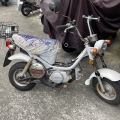 エンジン本体 実働 キック1発！ チャピィ50 ヤマハ