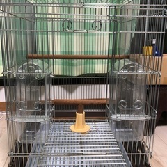 バードケージ　鳥かご