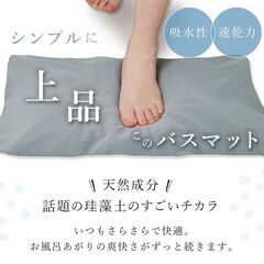 珪藻土バスマット　箱なしの新品の画像