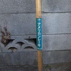 （お話中）アメリカンレーキーの画像