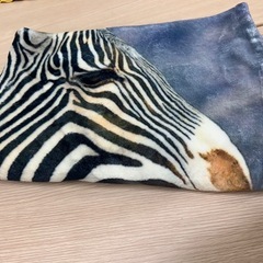 ライオン　しまうま　ブランケット　毛布　２枚セットの画像