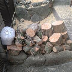 薪　薪ストーブ　切り株