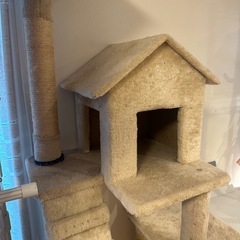 キャットタワー
の画像