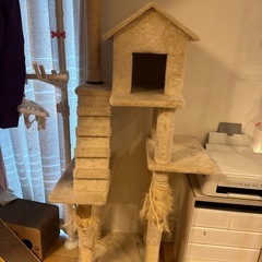 キャットタワー
の画像