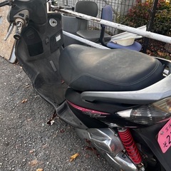 シグナス売ります！の画像