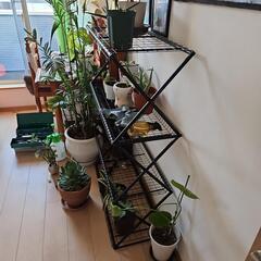 タカショー パンタグラック L