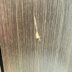 ニトリ　食器棚　レンジ台　ラック　ブラウンの画像