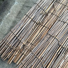【8/16のみ】すだれの画像