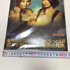 非売品　新品希少　ローラ SHELLY いきなり！黄金伝説 クリアファイルの画像