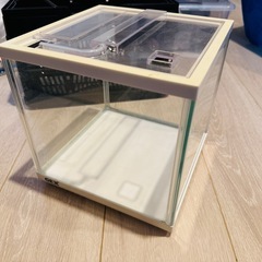 【成約しました】熱帯魚やベタ飼育にピッタリセットの画像