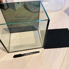 【成約しました】熱帯魚やベタ飼育にピッタリセットの画像