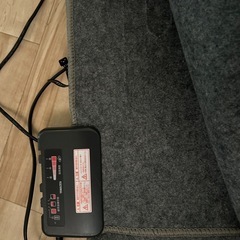【写真追加】ホットカーペットの画像