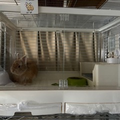 イージーホームシャイニー80の画像