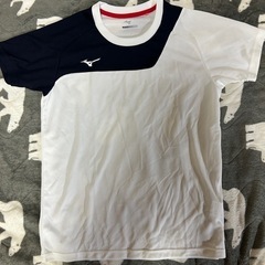 ミズノ　Tシャツ　サイズS レディースにも　スポーツ