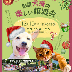 🧑‍🎄ボランティアと出店者も募集中！🎅保護犬猫の楽しいクリスマス...