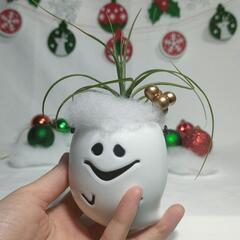 観葉植物　クリスマスおばけの画像