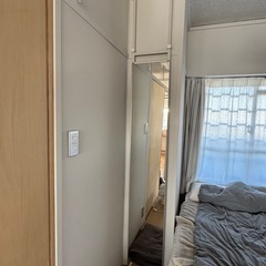 LOWYA スリムつっぱりミラー 
