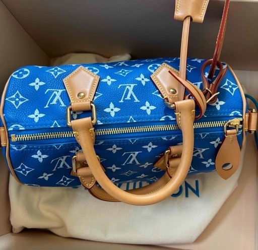 louis vuitton スピーディ25 M24424 pharrell