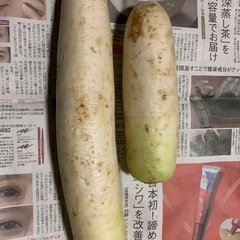 ひとり親限定！お米&大根&白菜&ネギ！