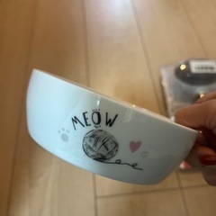 ペット用ブラッシングandフード皿の画像